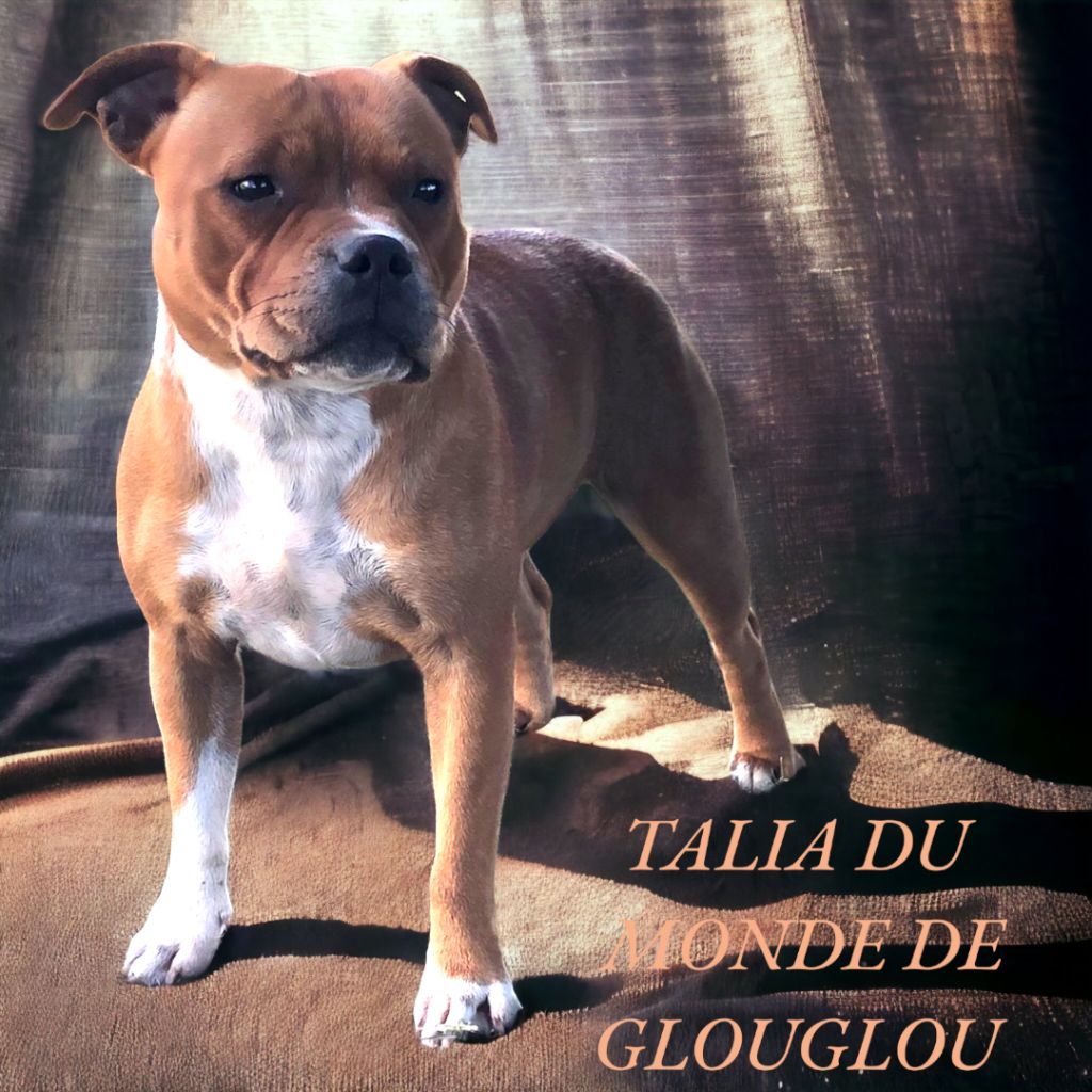 Talia Du Monde De Glouglou