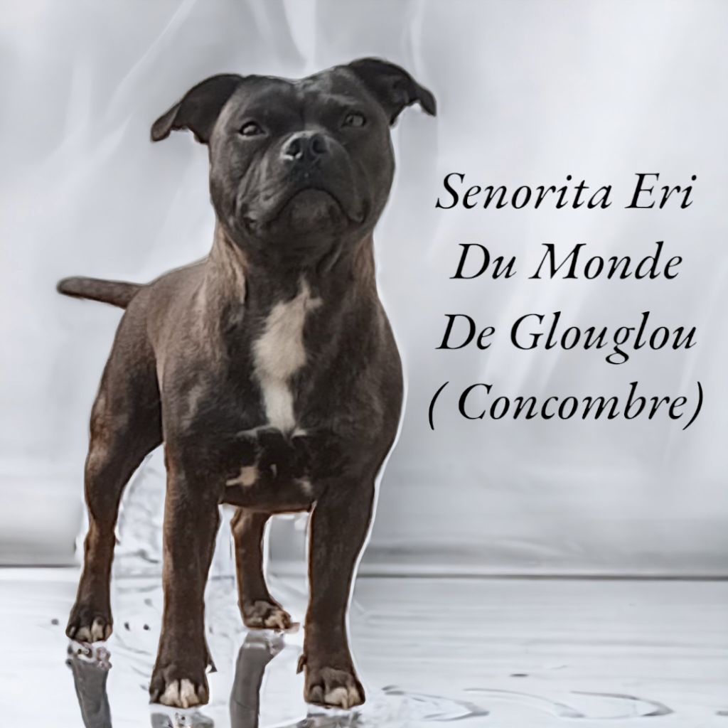 Senorita eri Du Monde De Glouglou
