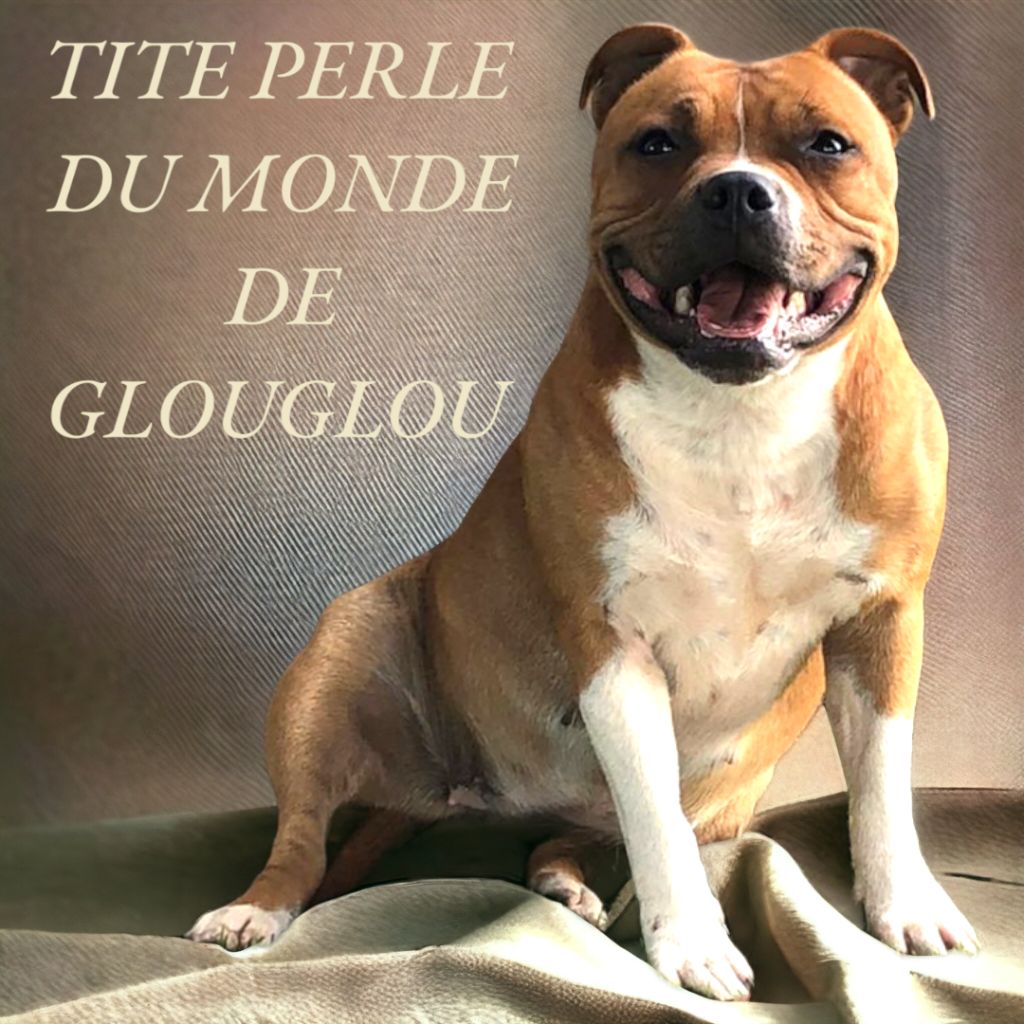 Tite perle Du Monde De Glouglou