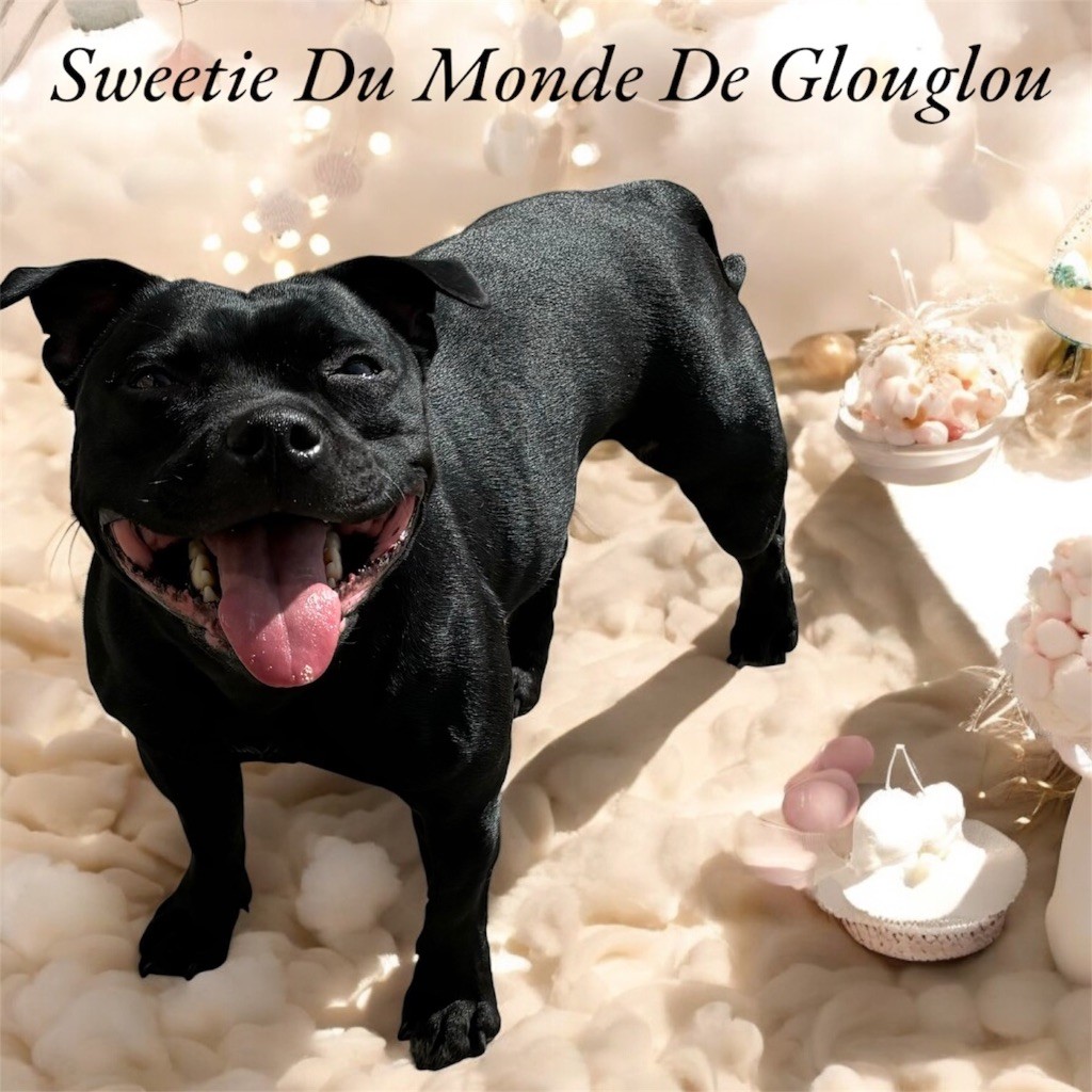 Sweetie Du Monde De Glouglou