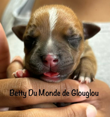 Betty