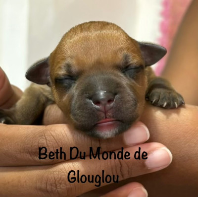 Beth