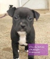Princesse Kira du monde de glouglou 