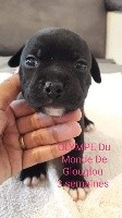 Oia e libertat keyra bqf 